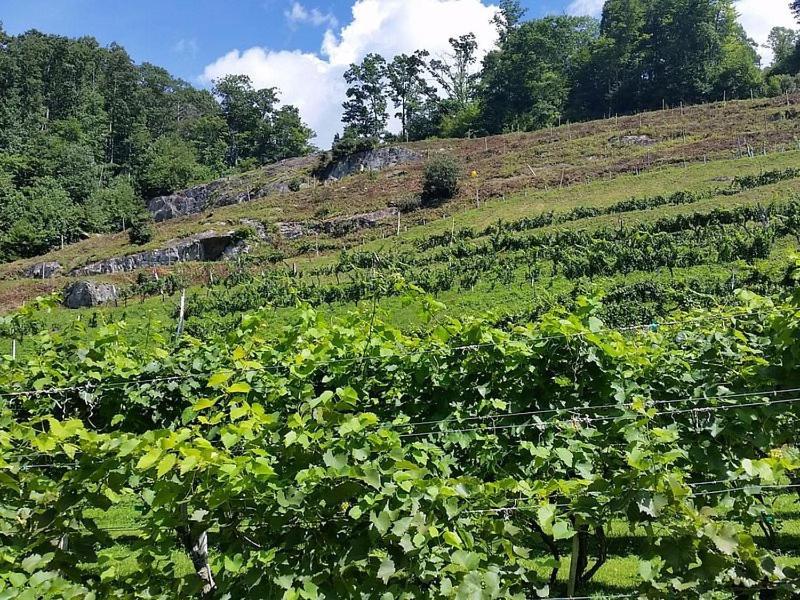 On Top Of The World At Sugar Top Resort Sugar Mountain Exterior foto