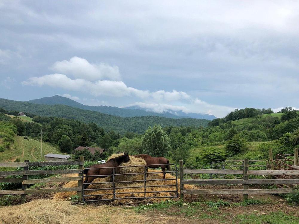 On Top Of The World At Sugar Top Resort Sugar Mountain Exterior foto